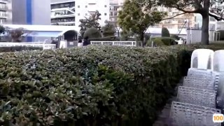 《张铁泉在美国死亡》中文在线观看-冒险